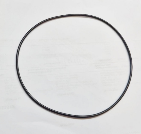 O-RING (8010112) (47055225)