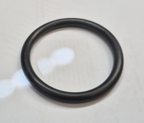 O-RING (300650) (47010294)