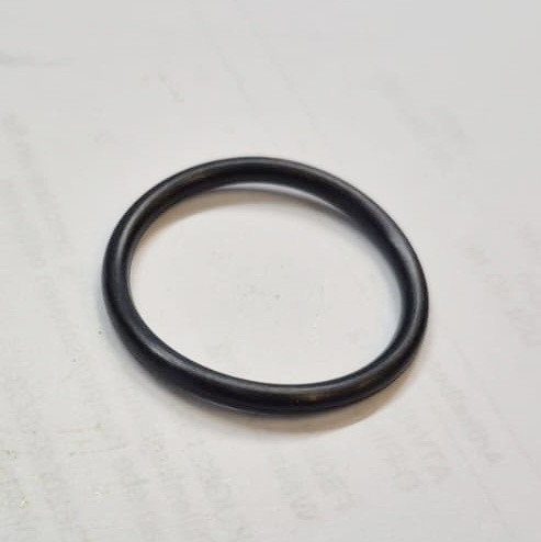 O-RING (8010110)