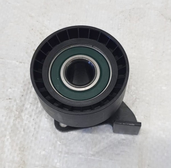 Spannrolle (6224110009) (4110009) (ED0041100090-S)