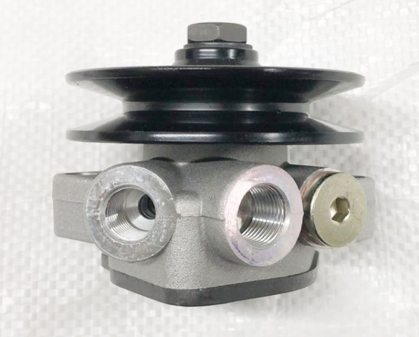 Kraftstoffpumpe (38006254)