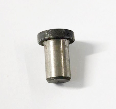 Druckpilz (38004670)