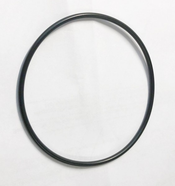 Dichtring (71804029)