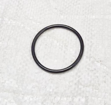 O-Ring (570027.0X2.0)