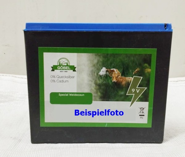 Batterie V55A (580601)