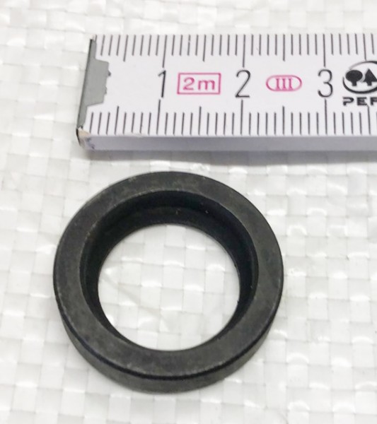 Ring (15402527)