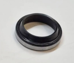 DICHTRING (3969119)