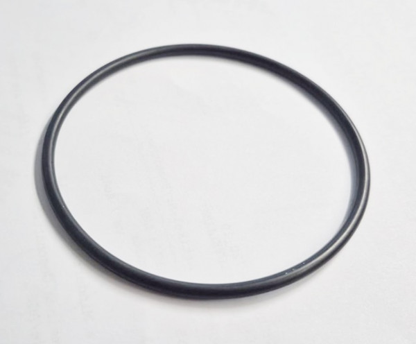 O-RING (2918263) (6020000150)