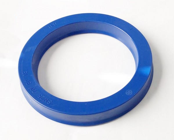 Dichtring (71804030)