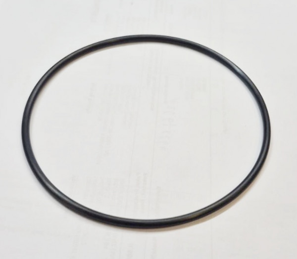 O-RING (1002667)