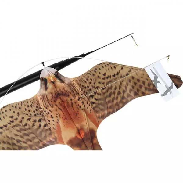 Vogelscheuchendrachen (580580126)