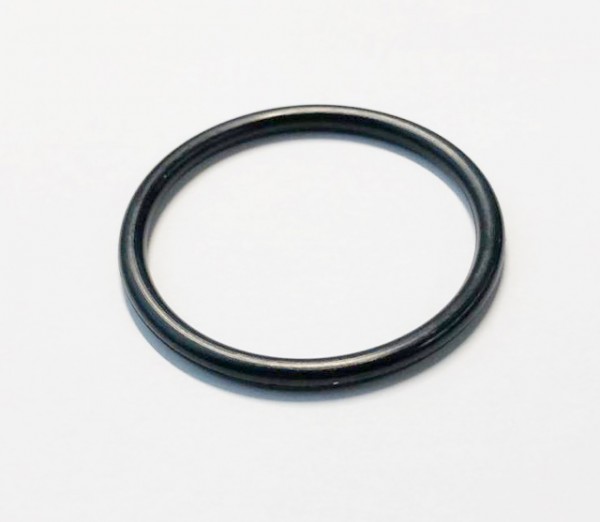 O-Ring (74704063)