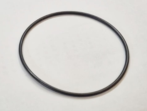 O-RING (491285) (0491285) (47025404)