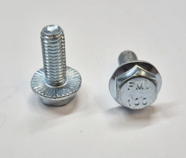 6kt.Ripp-Schraube,DIN88913,VZ,M06x010 (4858891306X010)
