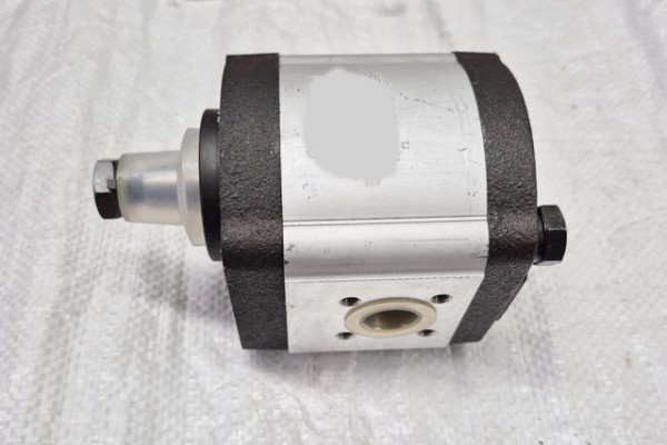 Hydraulikpumpe (256R918C02153) (1064666)