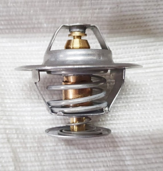 Thermostat (74702167)
