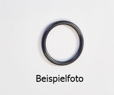 O-Ring, VE10 (570074.0X3.010)