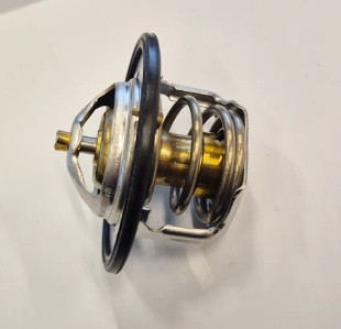 Thermostat (74717124)