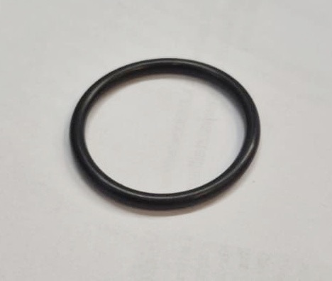 O-RING (383831) (47021585)